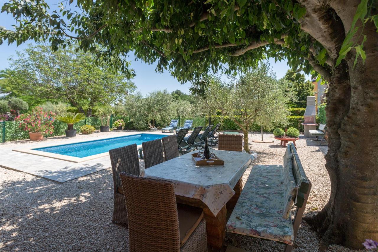 Villa Lucky Brtonigla Exteriér fotografie